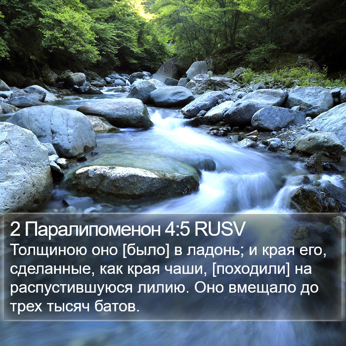 2 Паралипоменон 4:5 RUSV Bible Study