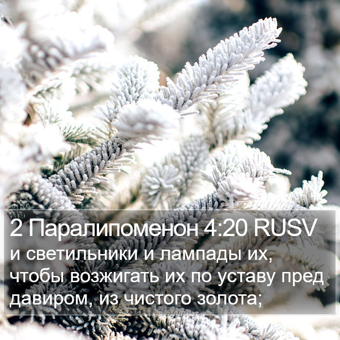 2 Паралипоменон 4:20 RUSV Bible Study