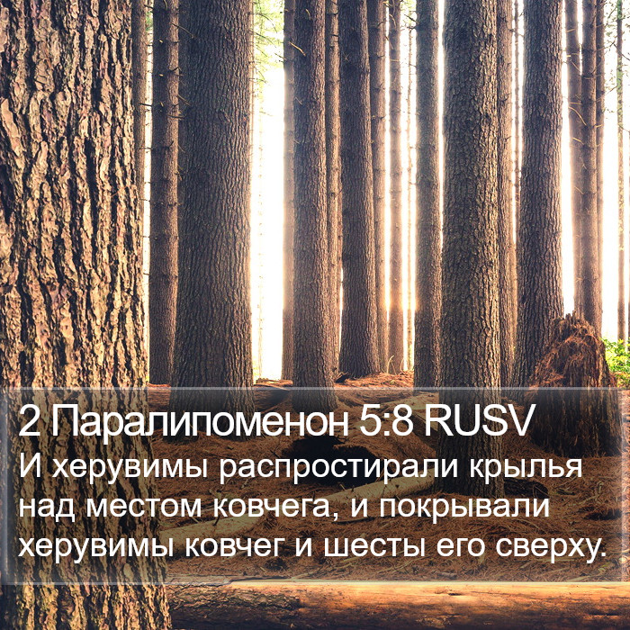 2 Паралипоменон 5:8 RUSV Bible Study