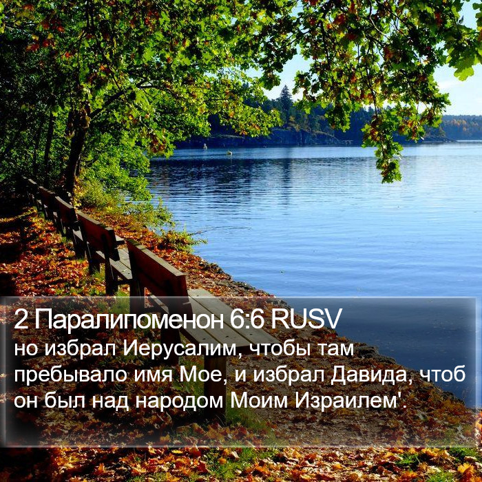 2 Паралипоменон 6:6 RUSV Bible Study