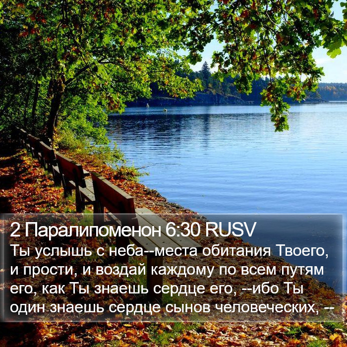 2 Паралипоменон 6:30 RUSV Bible Study