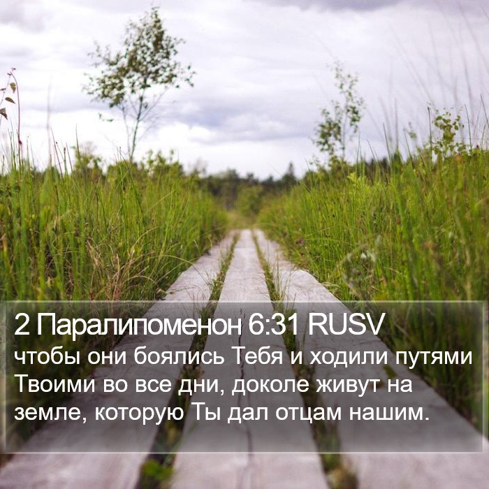 2 Паралипоменон 6:31 RUSV Bible Study