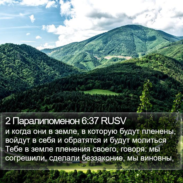 2 Паралипоменон 6:37 RUSV Bible Study