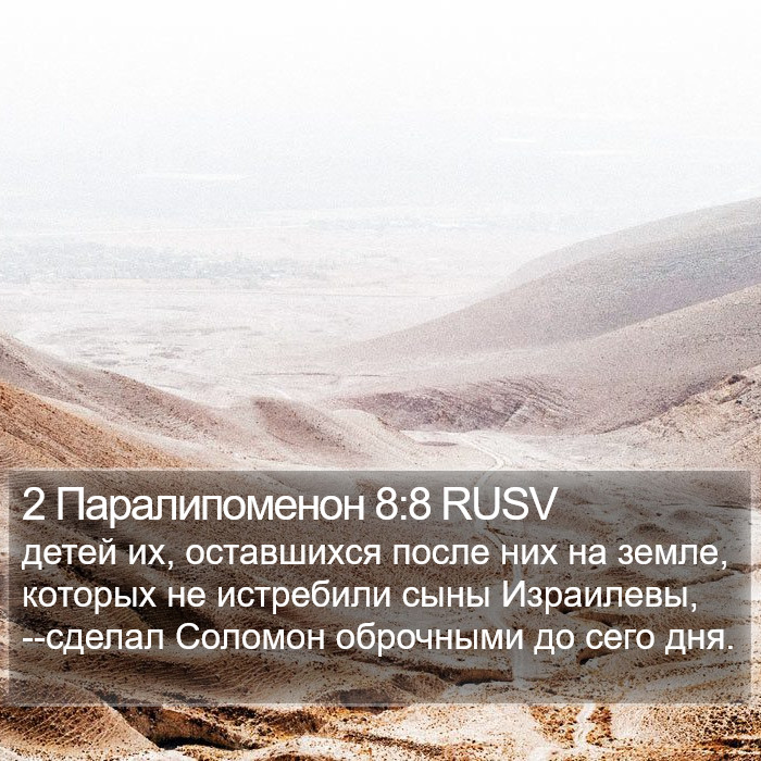 2 Паралипоменон 8:8 RUSV Bible Study