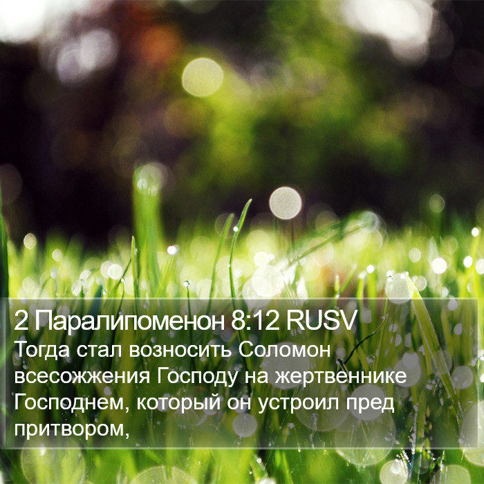 2 Паралипоменон 8:12 RUSV Bible Study