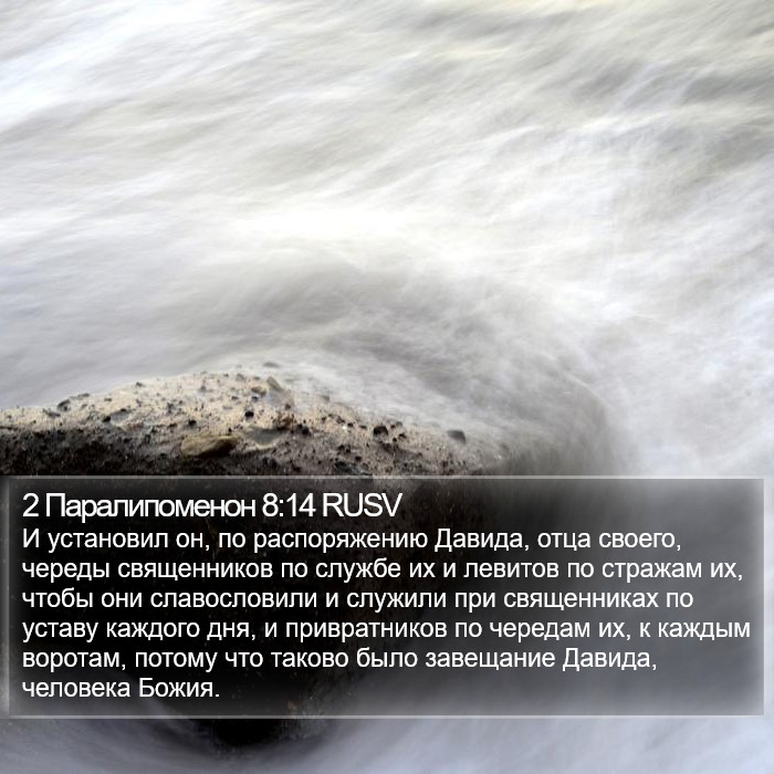 2 Паралипоменон 8:14 RUSV Bible Study