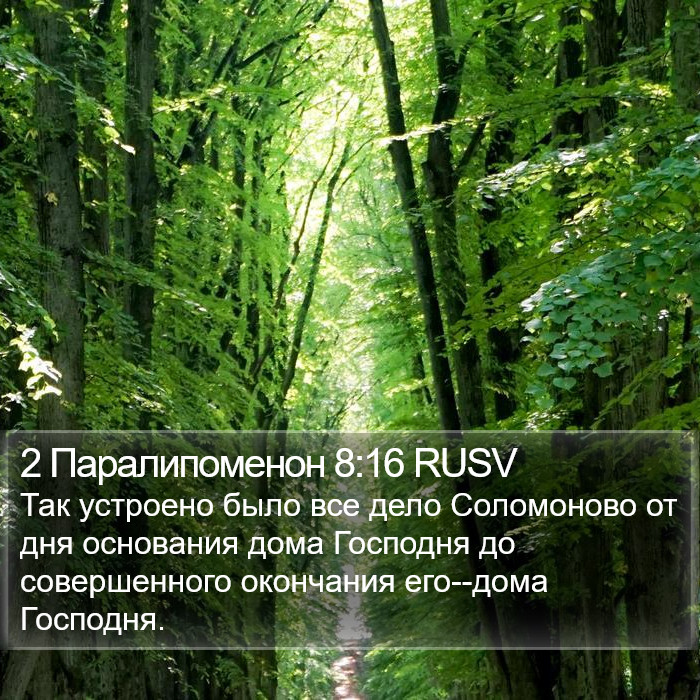 2 Паралипоменон 8:16 RUSV Bible Study