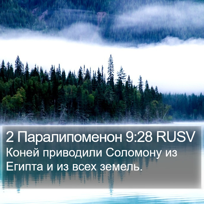 2 Паралипоменон 9:28 RUSV Bible Study