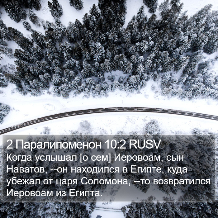 2 Паралипоменон 10:2 RUSV Bible Study