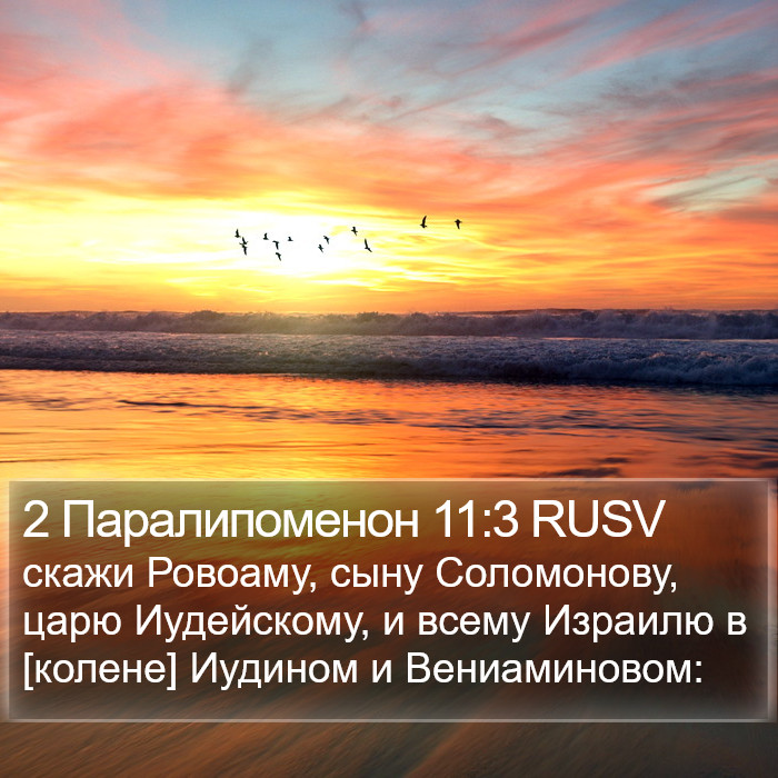 2 Паралипоменон 11:3 RUSV Bible Study