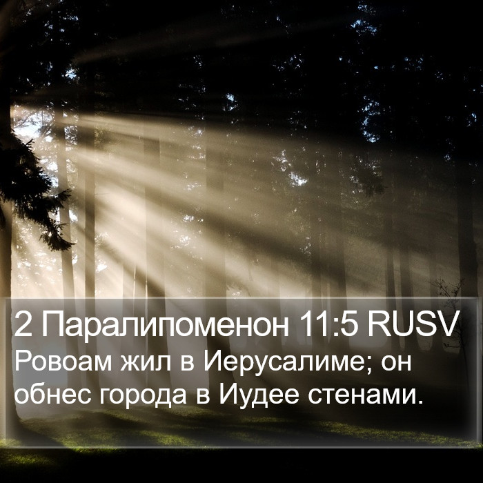 2 Паралипоменон 11:5 RUSV Bible Study