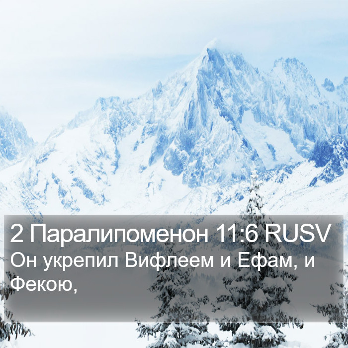 2 Паралипоменон 11:6 RUSV Bible Study