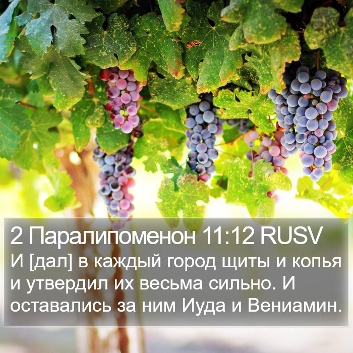 2 Паралипоменон 11:12 RUSV Bible Study