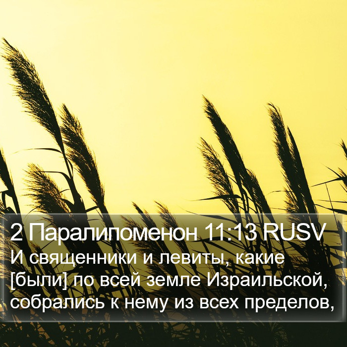 2 Паралипоменон 11:13 RUSV Bible Study