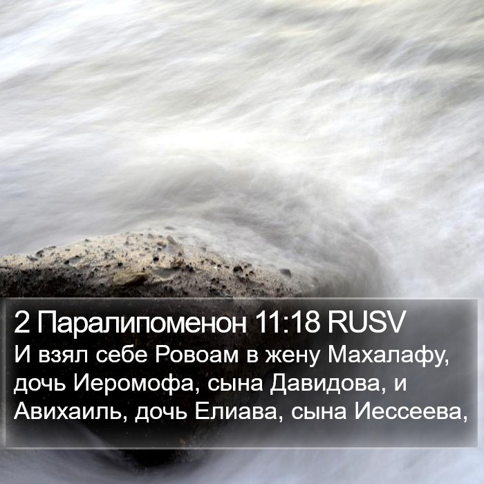 2 Паралипоменон 11:18 RUSV Bible Study