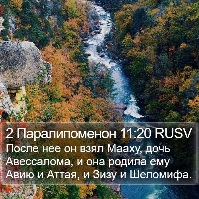 2 Паралипоменон 11:20 RUSV Bible Study