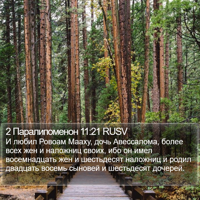 2 Паралипоменон 11:21 RUSV Bible Study