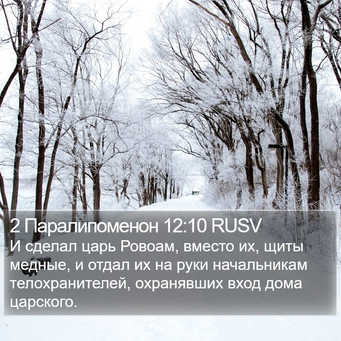 2 Паралипоменон 12:10 RUSV Bible Study
