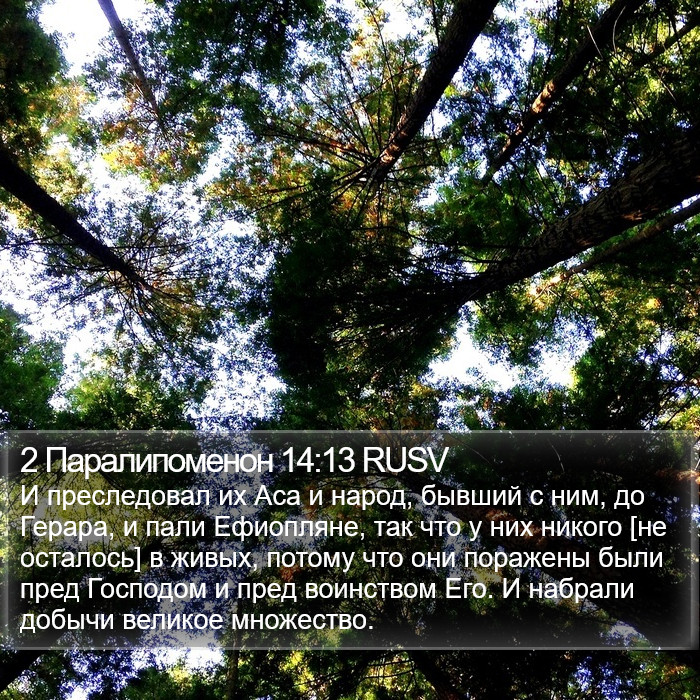 2 Паралипоменон 14:13 RUSV Bible Study