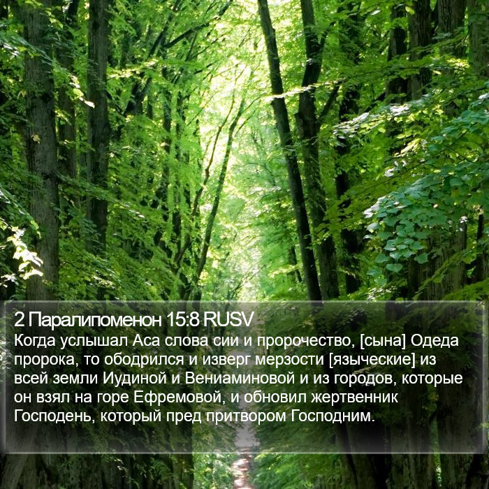 2 Паралипоменон 15:8 RUSV Bible Study