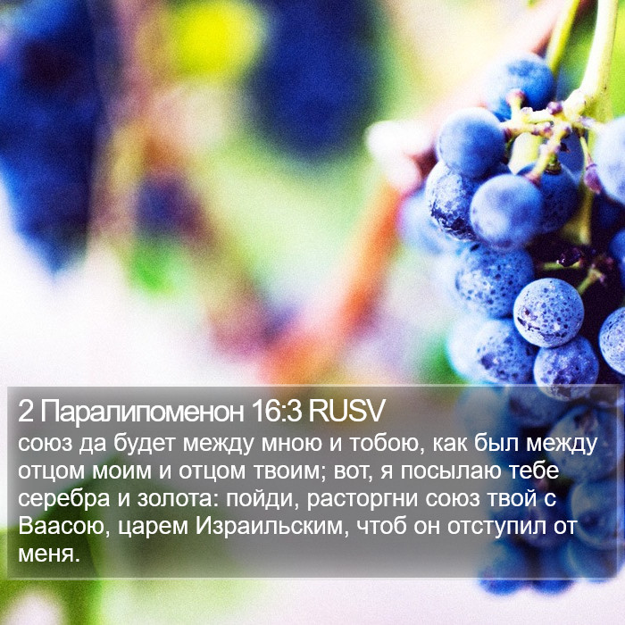 2 Паралипоменон 16:3 RUSV Bible Study