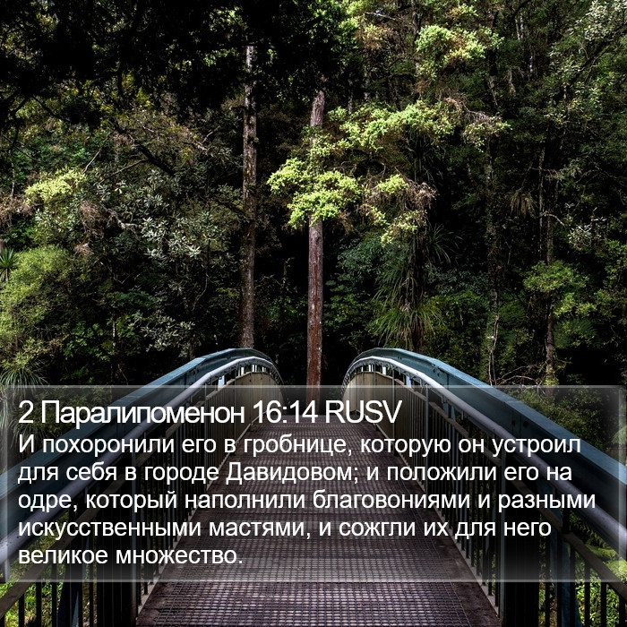 2 Паралипоменон 16:14 RUSV Bible Study