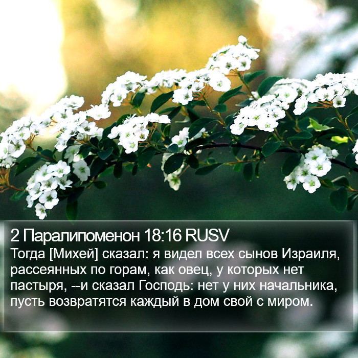 2 Паралипоменон 18:16 RUSV Bible Study