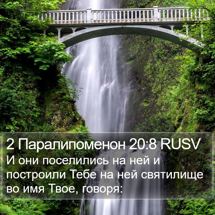 2 Паралипоменон 20:8 RUSV Bible Study