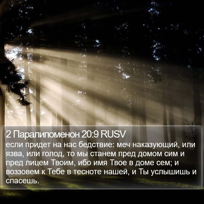 2 Паралипоменон 20:9 RUSV Bible Study