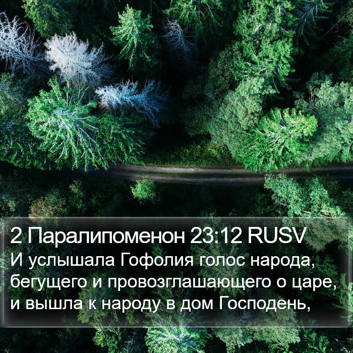 2 Паралипоменон 23:12 RUSV Bible Study