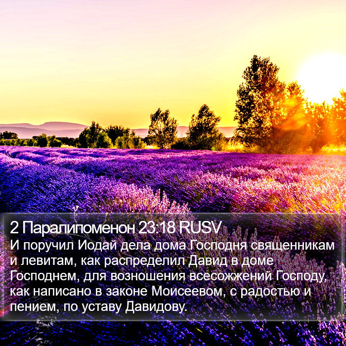 2 Паралипоменон 23:18 RUSV Bible Study