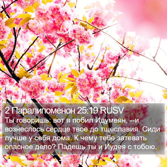 2 Паралипоменон 25:19 RUSV Bible Study