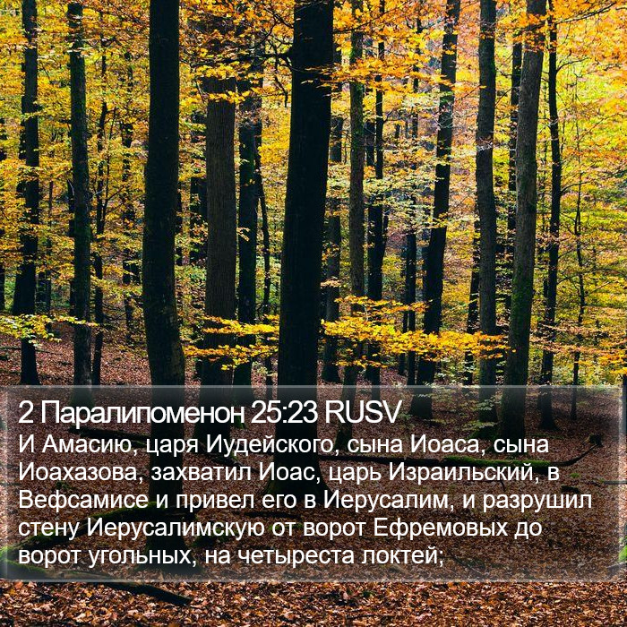 2 Паралипоменон 25:23 RUSV Bible Study