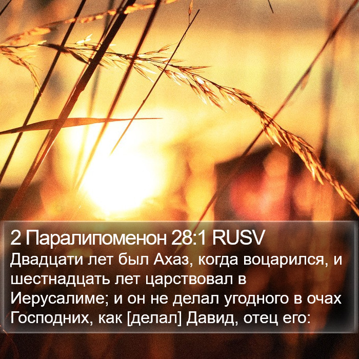 2 Паралипоменон 28:1 RUSV Bible Study