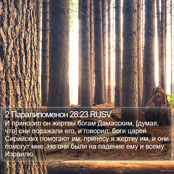 2 Паралипоменон 28:23 RUSV Bible Study