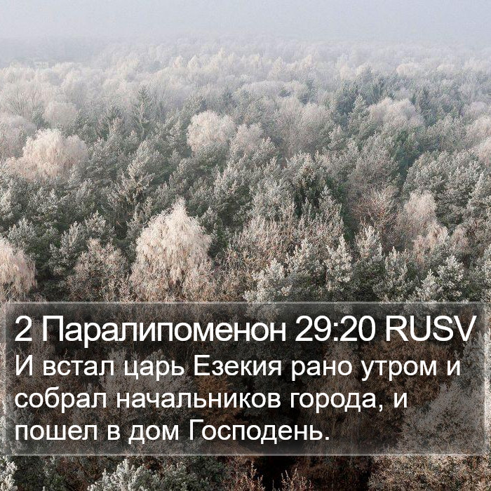 2 Паралипоменон 29:20 RUSV Bible Study