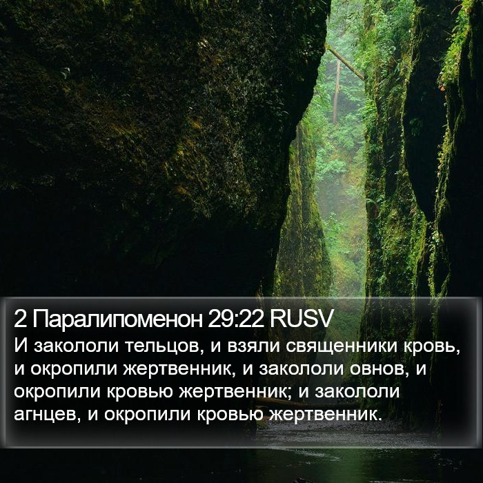 2 Паралипоменон 29:22 RUSV Bible Study