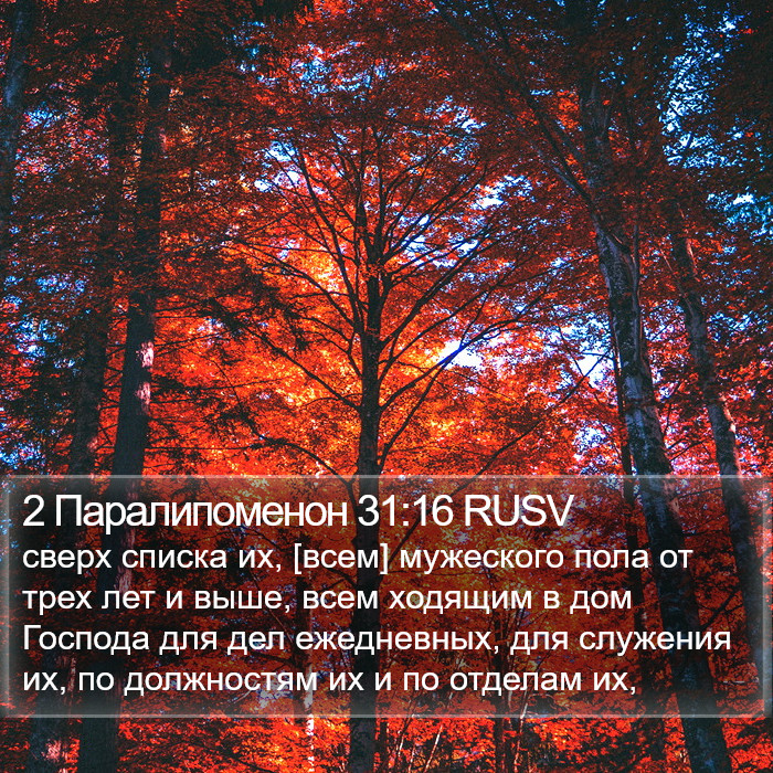 2 Паралипоменон 31:16 RUSV Bible Study