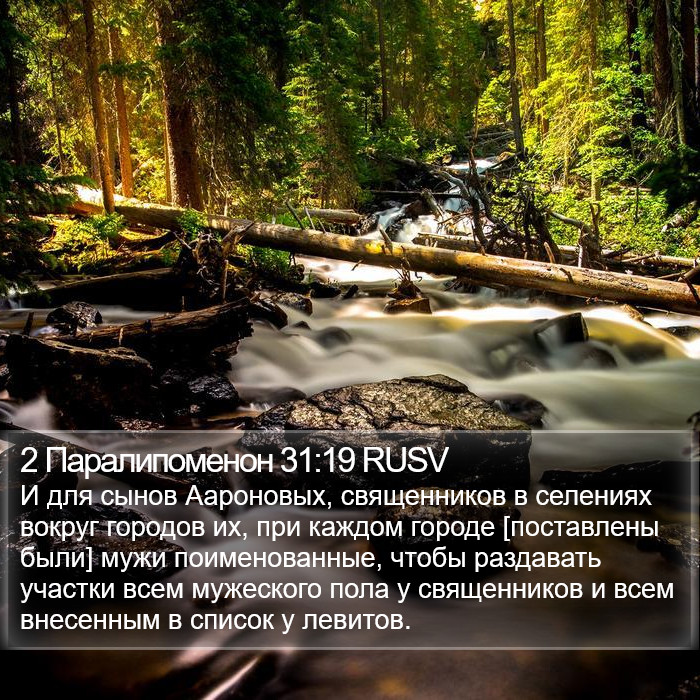 2 Паралипоменон 31:19 RUSV Bible Study