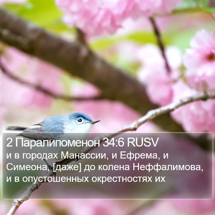 2 Паралипоменон 34:6 RUSV Bible Study