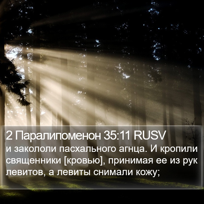 2 Паралипоменон 35:11 RUSV Bible Study