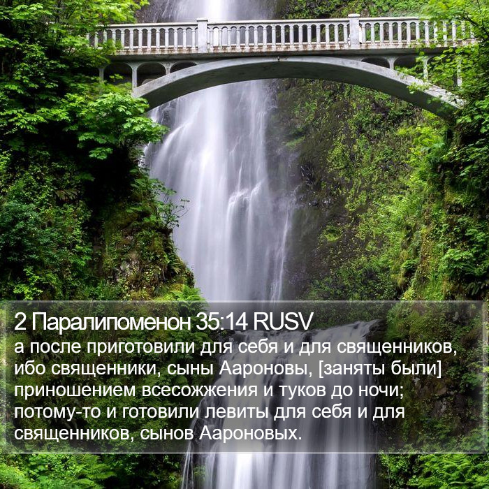 2 Паралипоменон 35:14 RUSV Bible Study