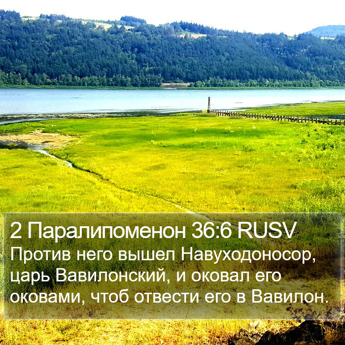 2 Паралипоменон 36:6 RUSV Bible Study