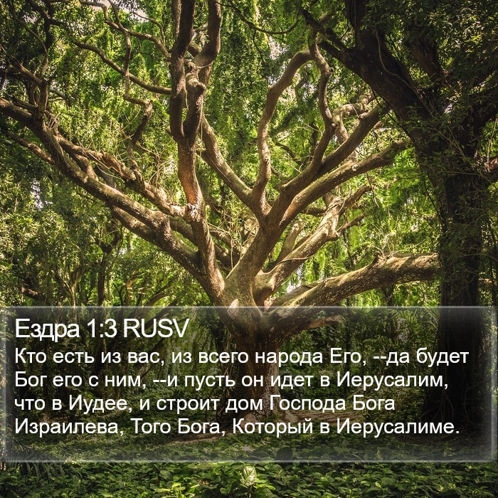 Ездра 1:3 RUSV Bible Study