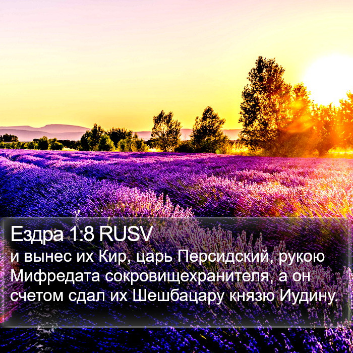 Ездра 1:8 RUSV Bible Study