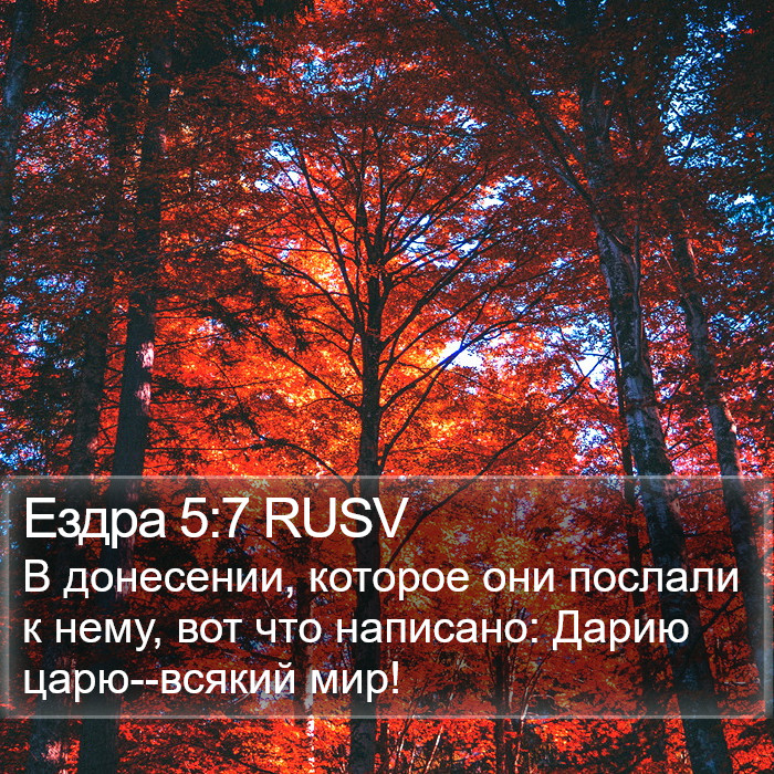 Ездра 5:7 RUSV Bible Study