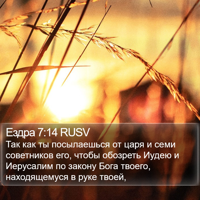 Ездра 7:14 RUSV Bible Study