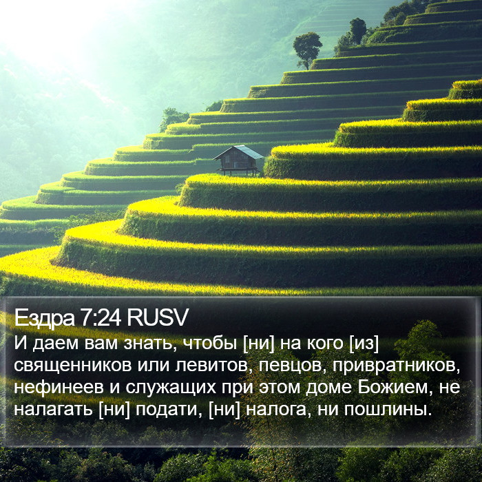 Ездра 7:24 RUSV Bible Study