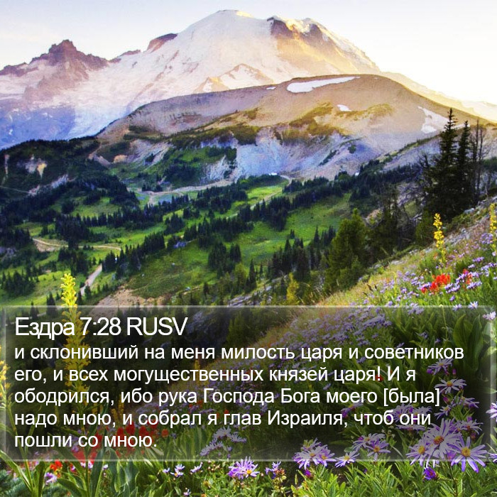Ездра 7:28 RUSV Bible Study