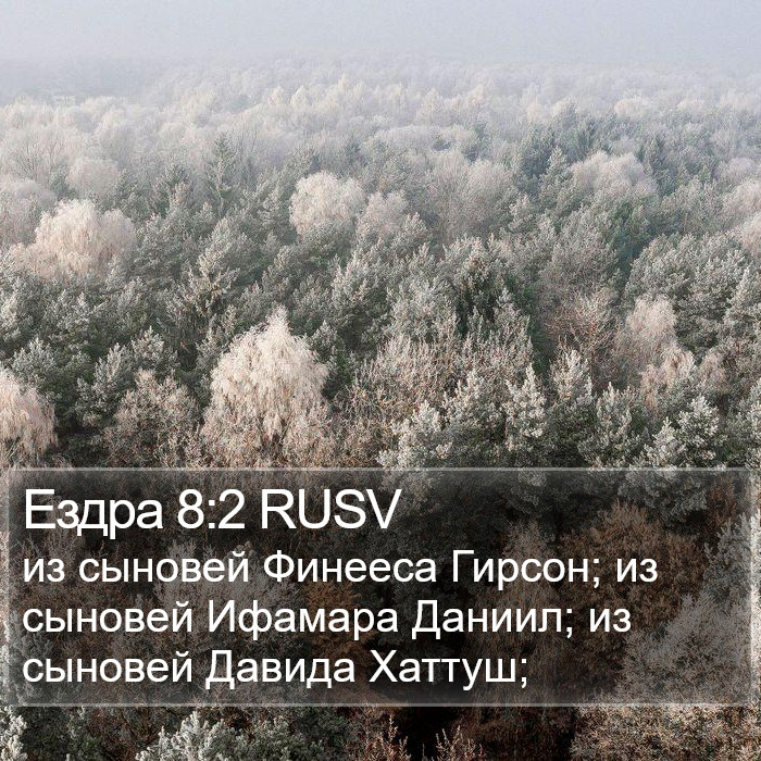Ездра 8:2 RUSV Bible Study